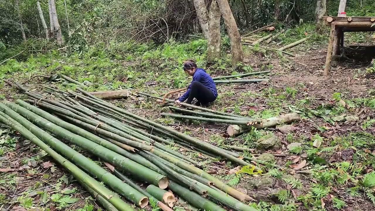 TIME LAPSE: The strong girl escaped the attack of the weirdo | Alone & Off Grid Living