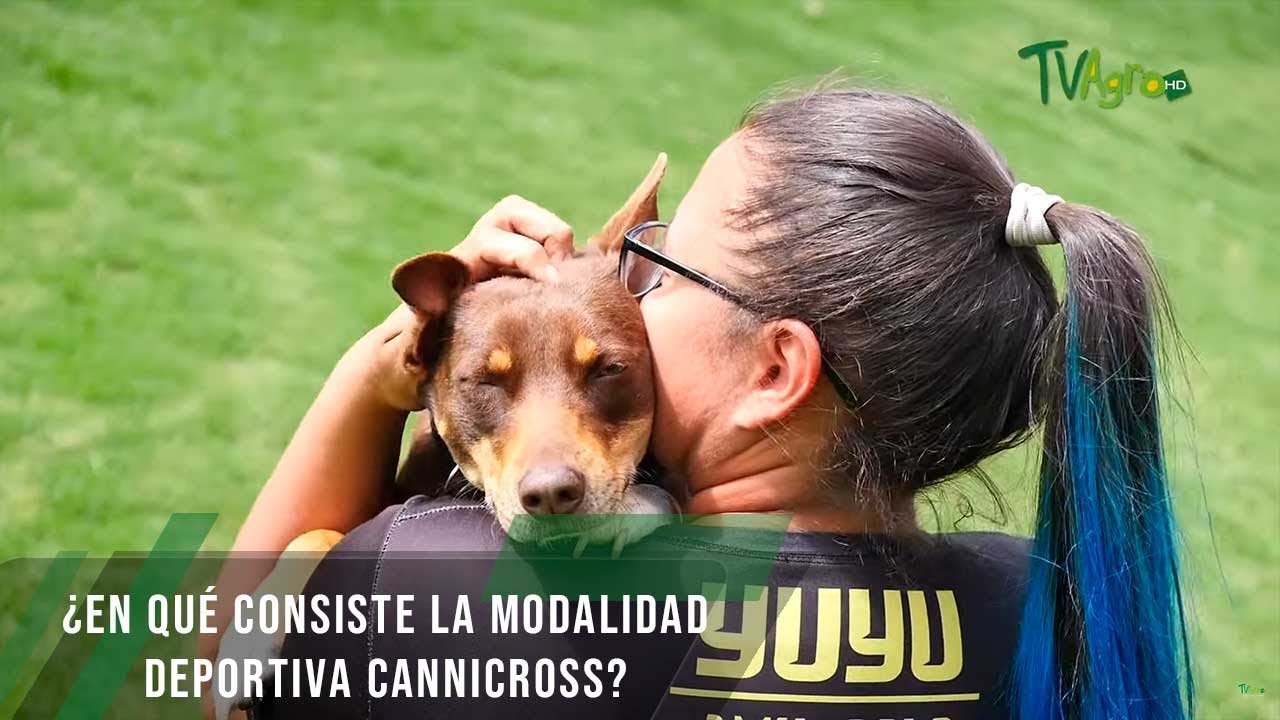 En qué consiste la modalidad deportiva canicross - TvAgro por Juan Gonzalo Angel Restrepo
