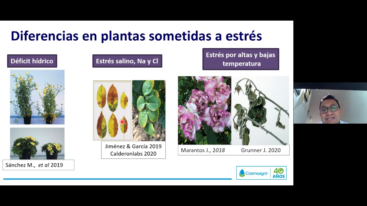 Fisiología del estrés de las plantas - estrés abiótico y biótico, incidencias y mecanismos de estrés