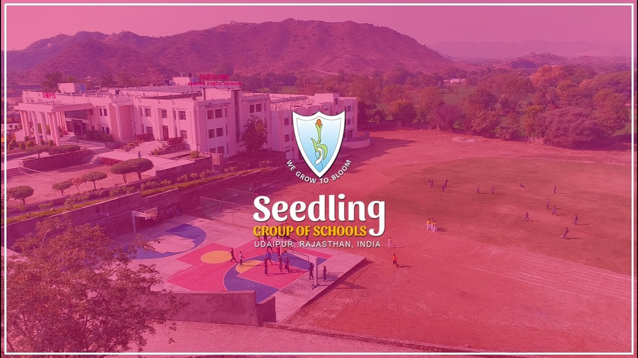Seedling Group of Schools Udaipur at a Glance | Schools in Udaipur | Best School in Udaipur