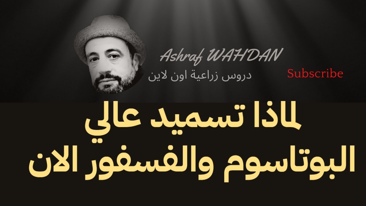 #شاهد _لماذا _هنسمد _الان_ بعالي البوتاسيوم _والفسفسور