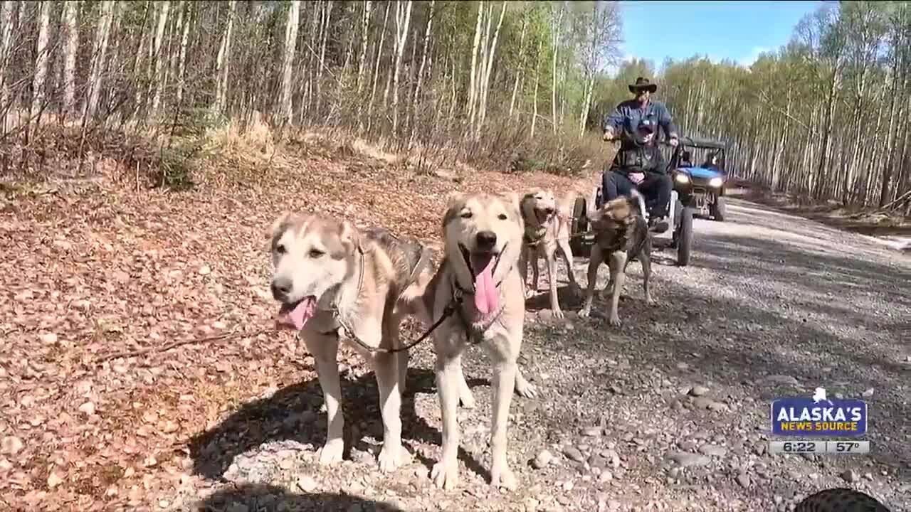 Roadtrippin&rsquo; 2024: AK Sled Dog Tours