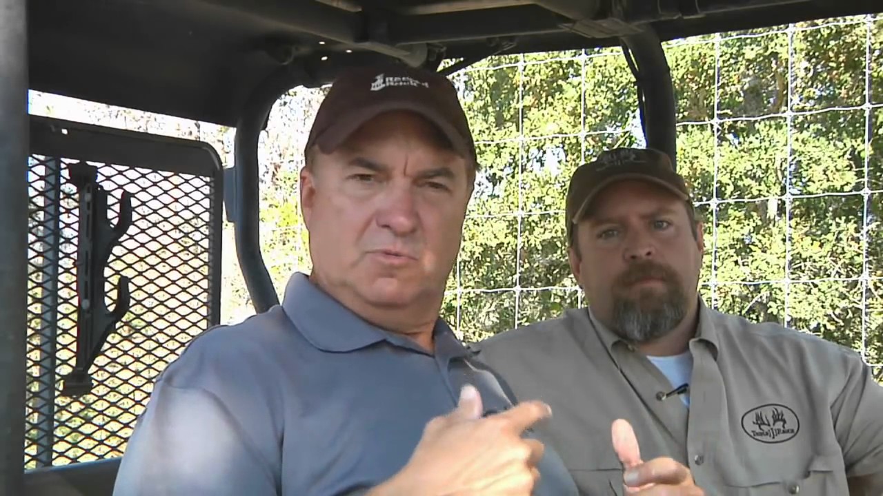 Triple J Ranch   Pasture Bucks From Aggieland   Deer & Wildlife Stories