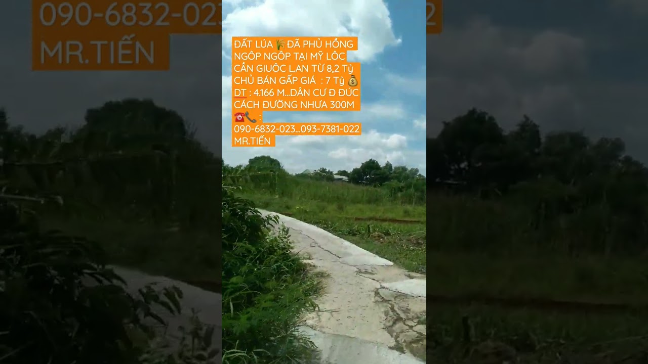 #tập248