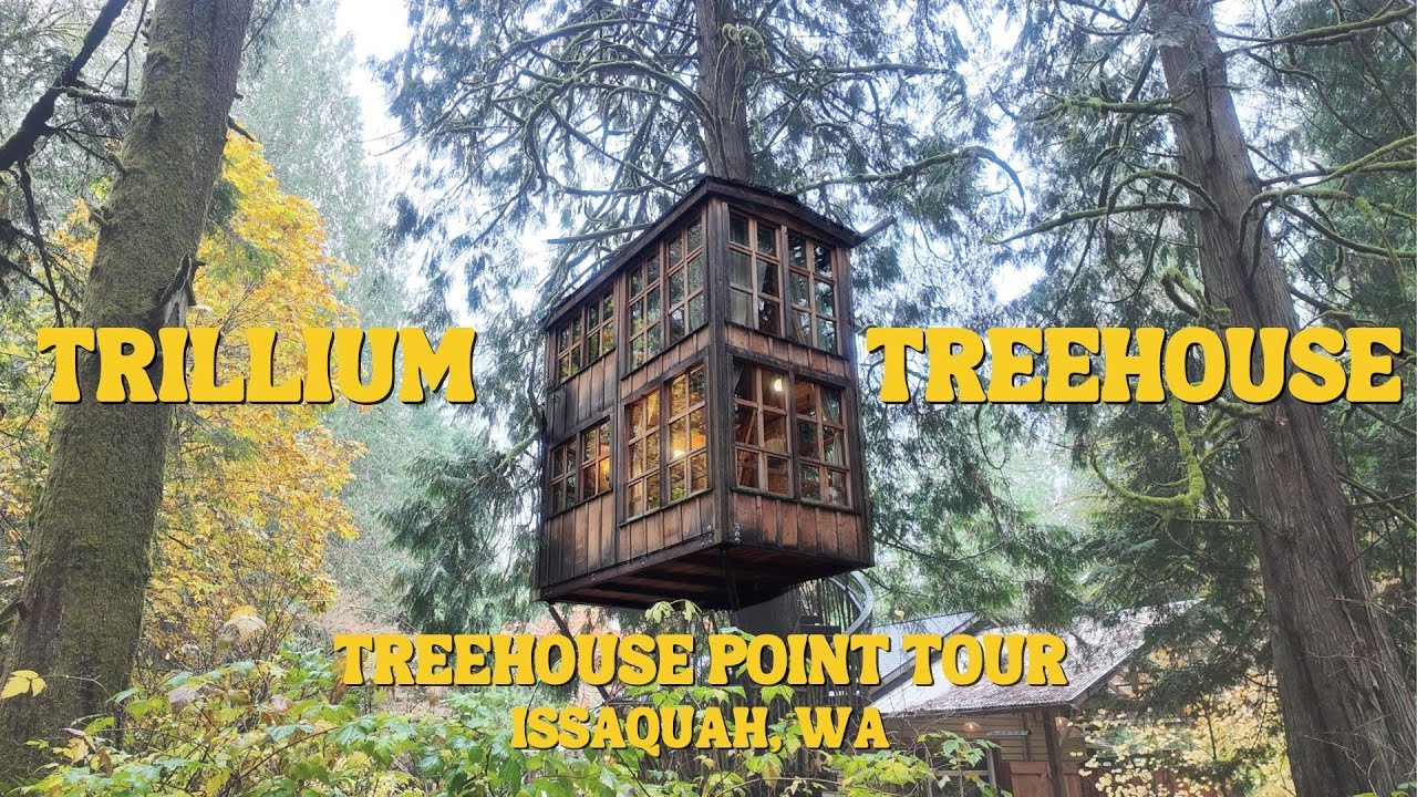 Trillium Treehouse Tour | Tree House Point | Issaquah, Washington