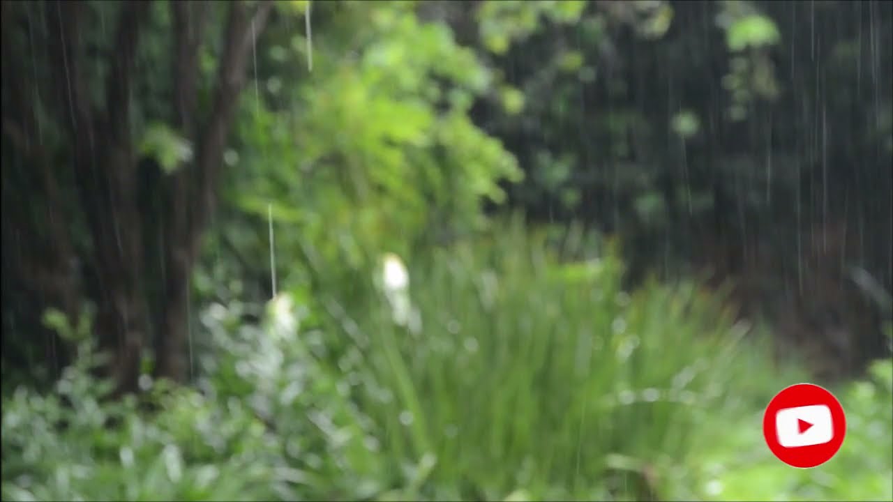 Eternal Garden - Dan Henig | 1-hour | Ultimate Relaxing music | Healing meditation music