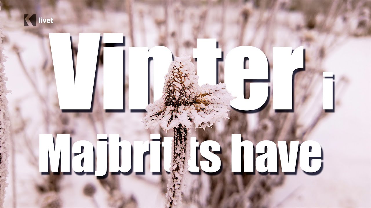Januar i Majbritts Have: Vinterro, Vinteropbevaring og Vedligehold