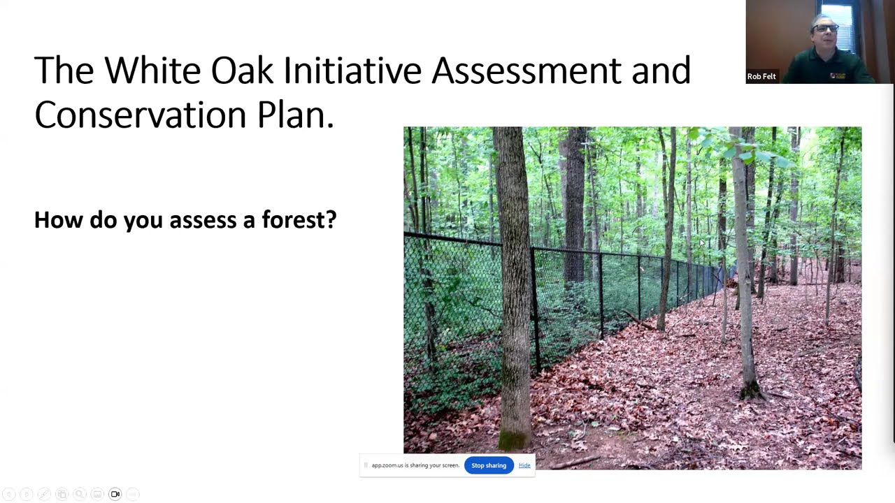 Framing the Future: The White Oak Initiative (7.17.25)
