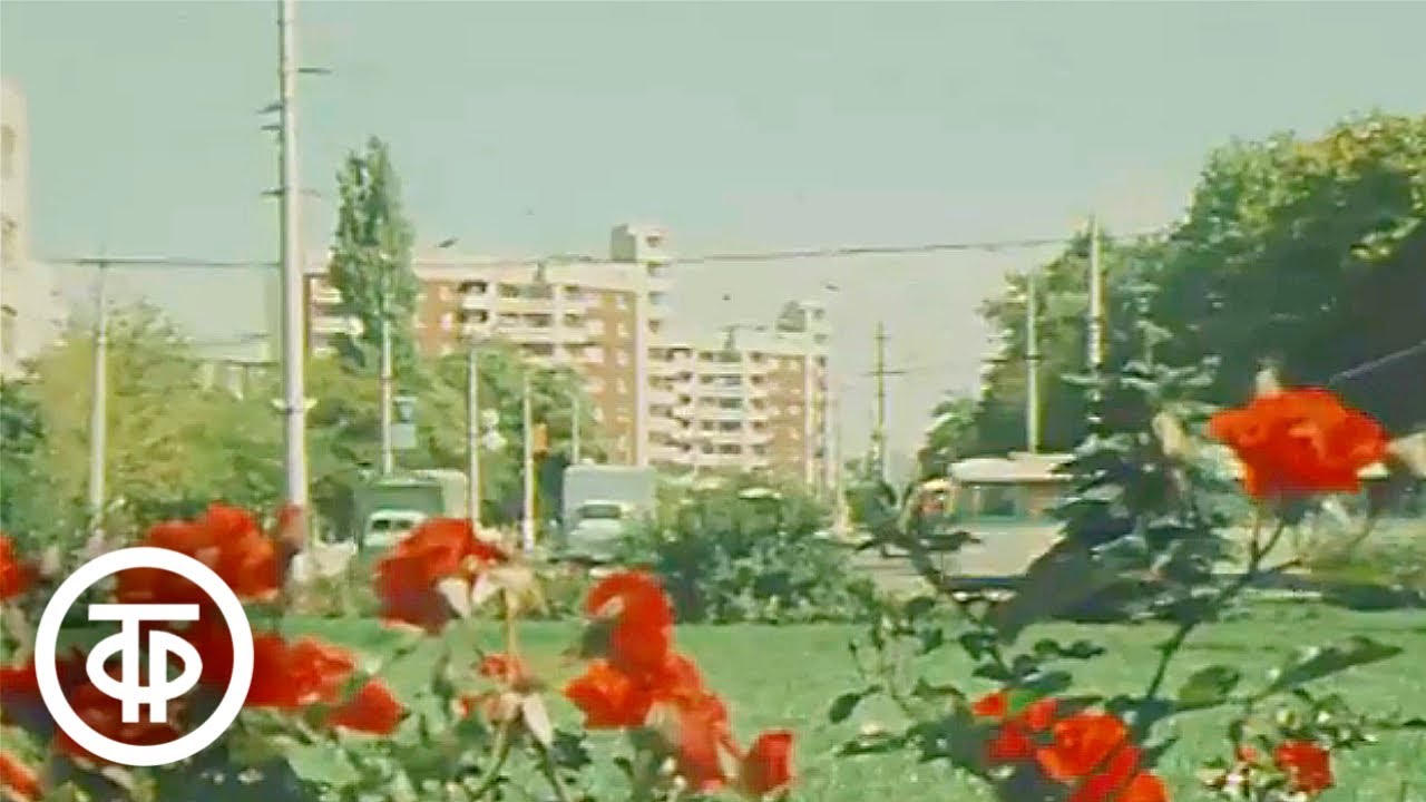Орден Симферополю. Новости. Эфир 28 сентября 1984