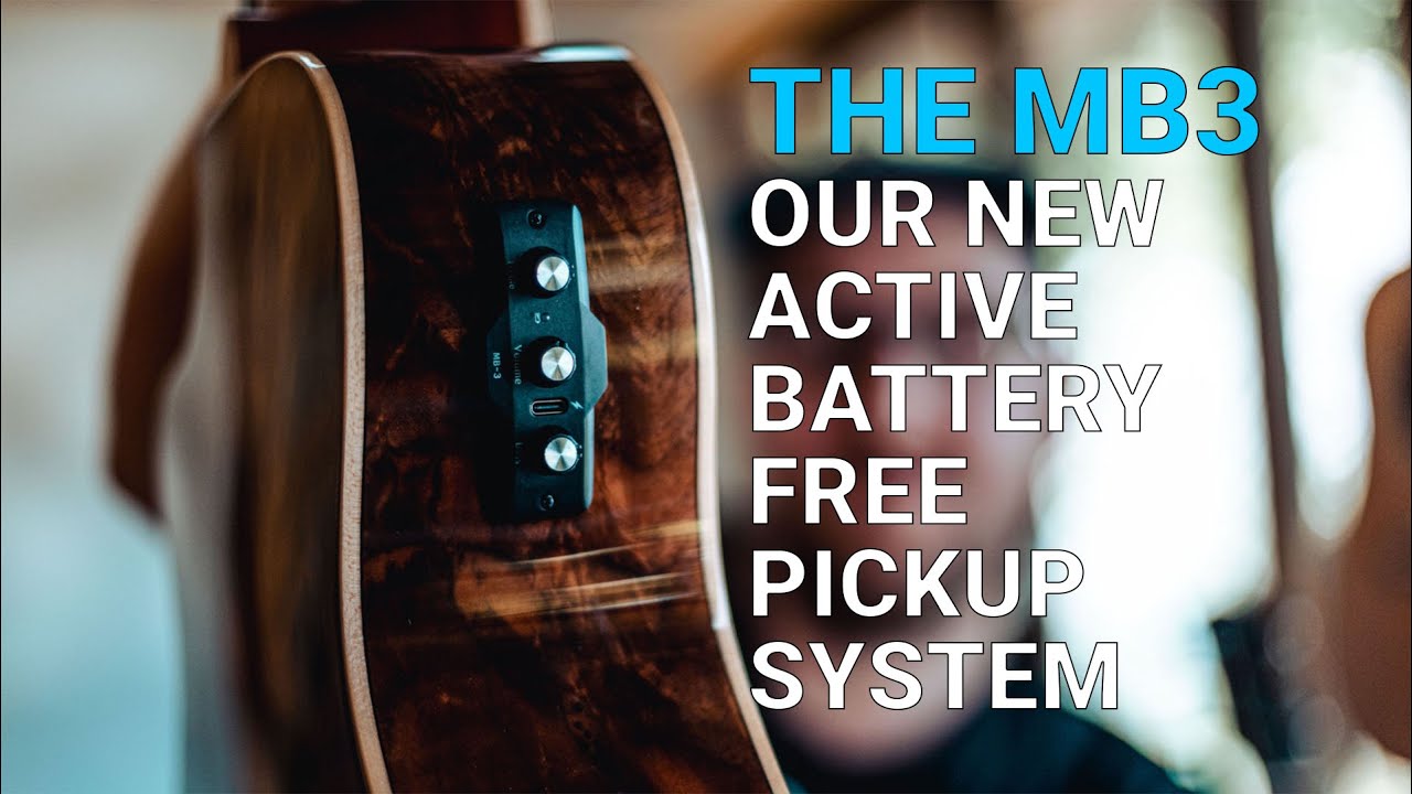 This is the NEW Baton Rouge Guitars Pickup System!
