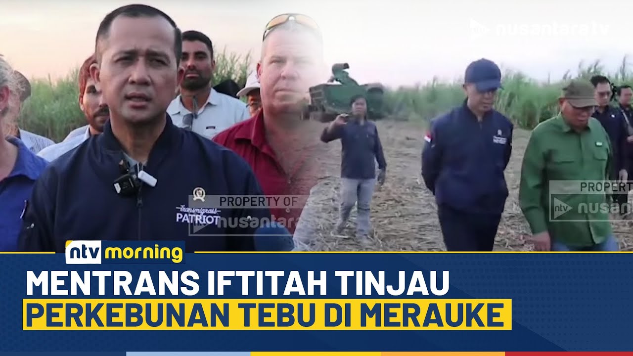 Tinjau Perkebunan Tebu Merauke, Mentrans Iftitah: Kebun Tebu Tidak Merusak Lingkungan | NTV MORNING