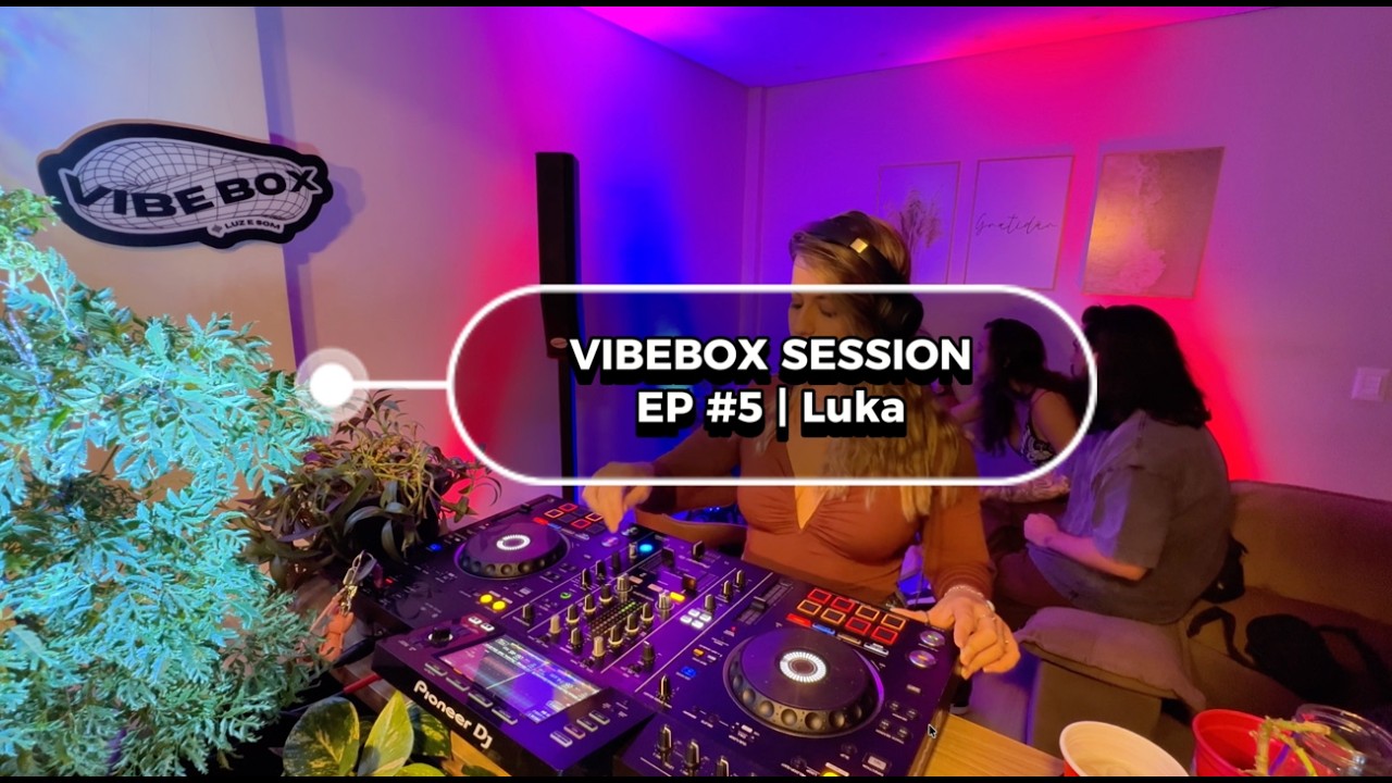 VIBEBOX SESSION #5 | DJ Set - Luka | House, Dance/Pop