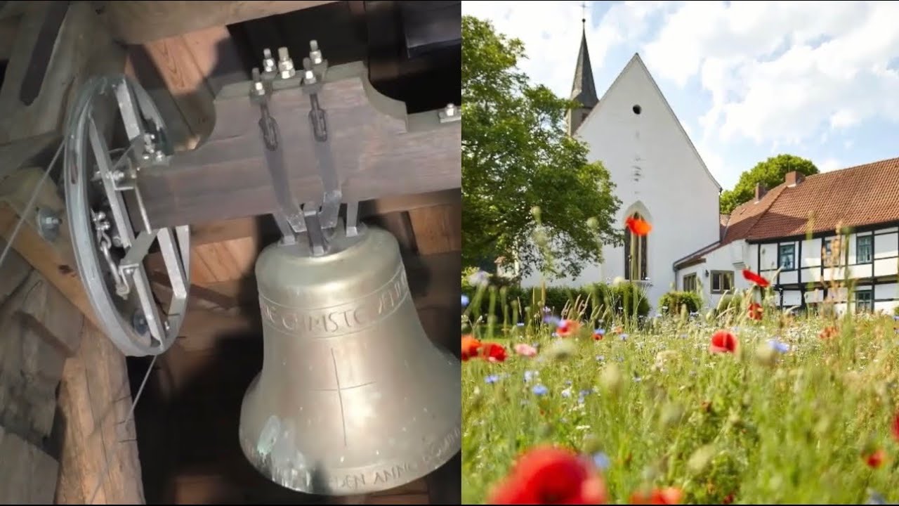 1 Hour of Peaceful Church Bells 🕊️ Calming & Meditative Sounds Cathedral 