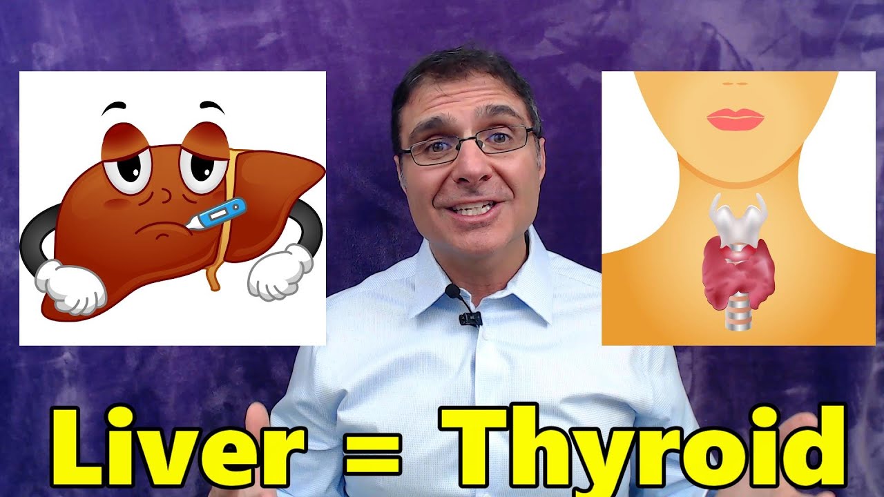 Thyroid Equals Liver
