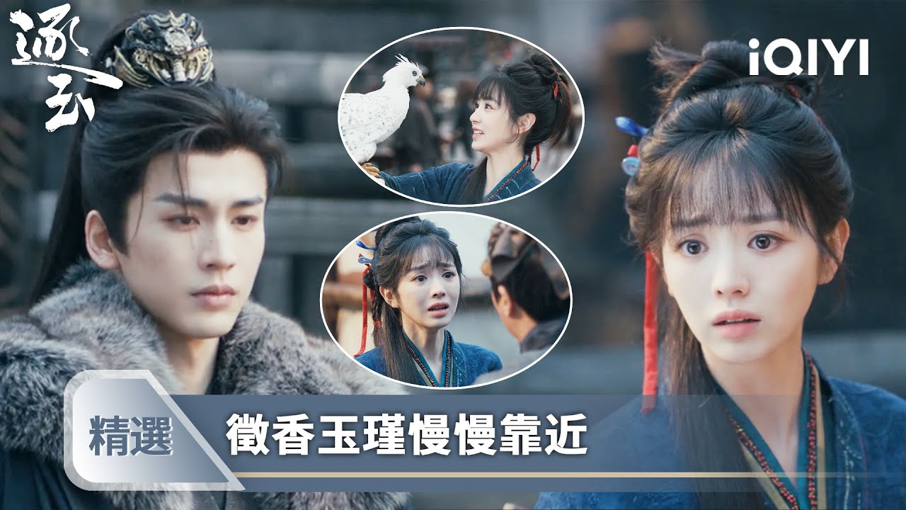 《逐玉》精選23【NEW】🦅💗：飛隼傳書打破情敵幻想，一封簡訊連接兩顆真心 | 愛奇藝