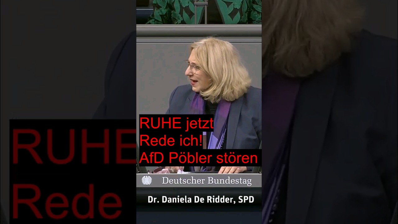 SPD Frau legt sich mit der AfD an #noafd #afdmachtdumm