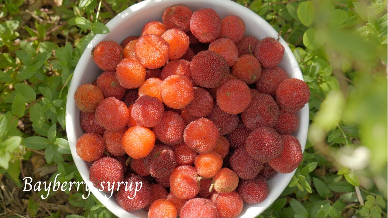 [Японское сезонное ремесло] Июнь-июль Приготовление сиропа из черники