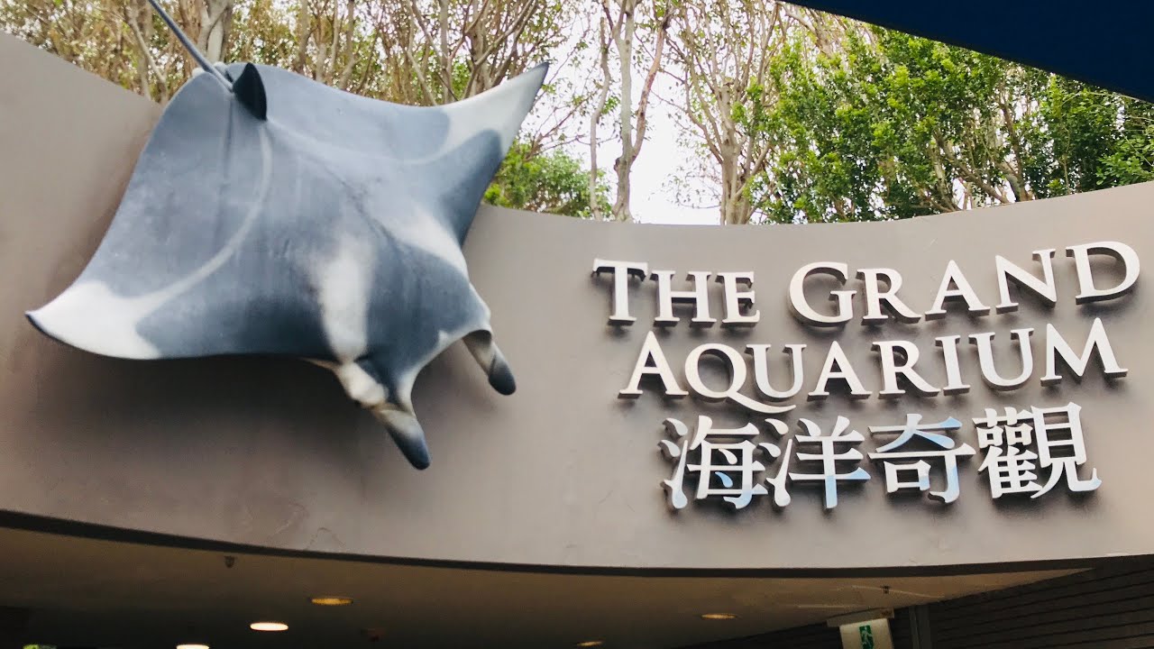 The Grand Aquarium Part1 #aquarium #oceanpark 