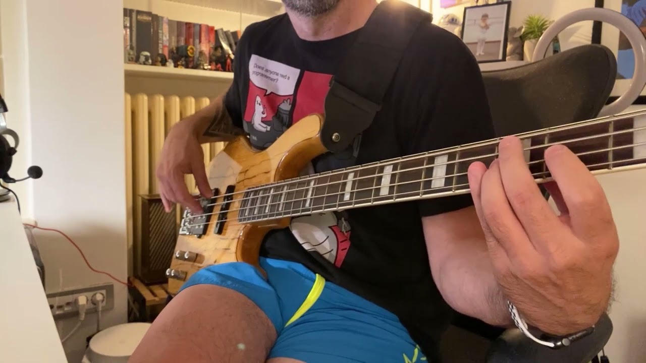 Zdravko Colic - Madjarica bass cover