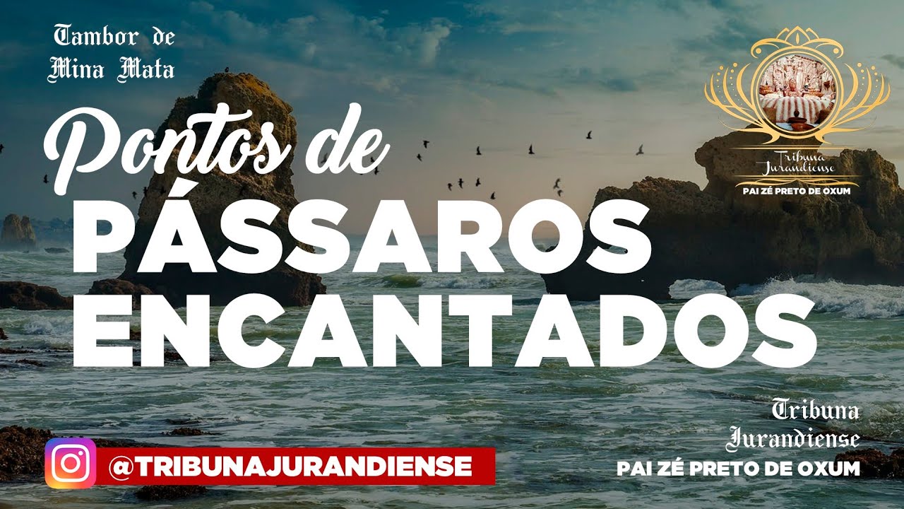 Pontos de Pássaros Encantados- #tambordemina