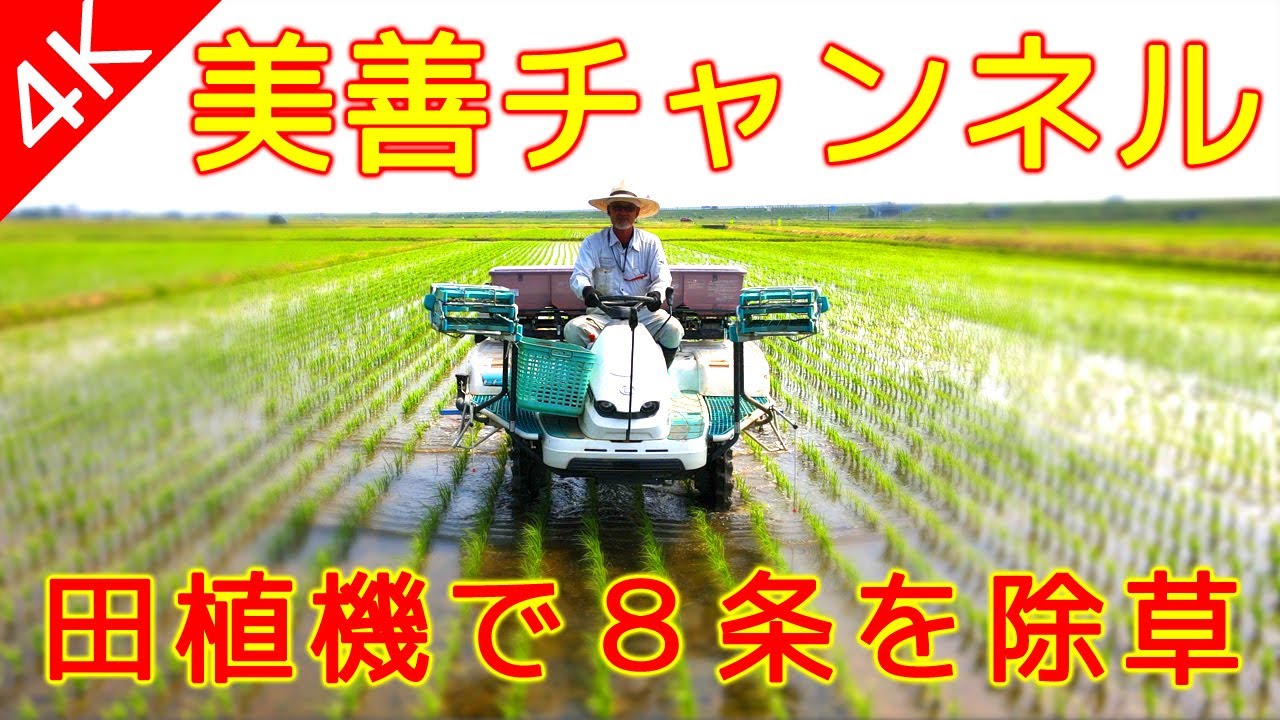 【4K 美善/BIZEN】８条で除草！田植機用あめんぼ号SPW-81x(山形県)
