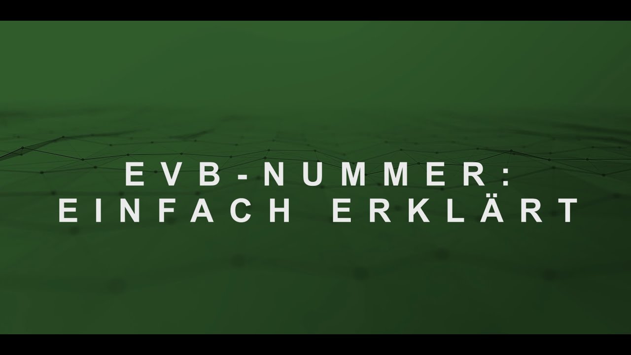 EVB NUMMER EINFACH ERKL&Auml;RT | HDI Versicherungen Ali Dousti