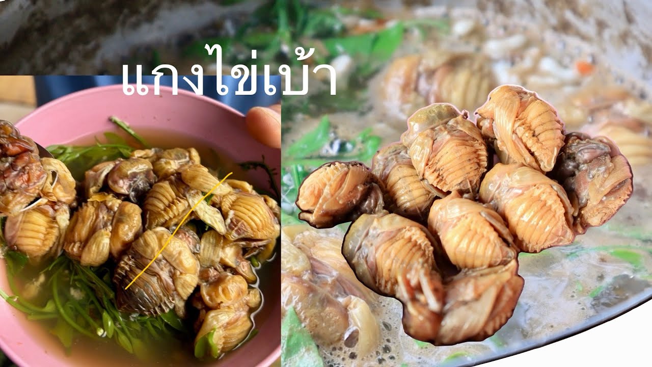 แกงไข่เบ้าครั้งแรก ใส่ไข่มดแดง ผักหวาน ชะอม