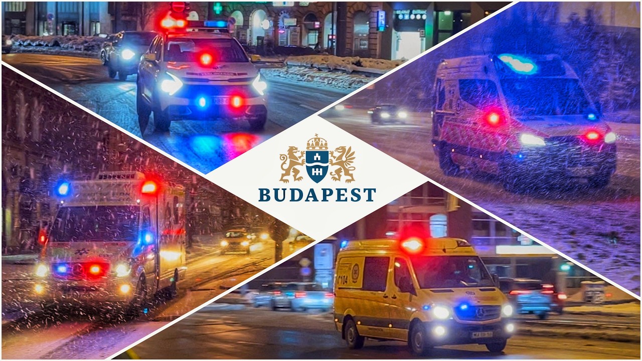 Vonulások a januári hóban / Emergency Vehicles Responding in the Snow
