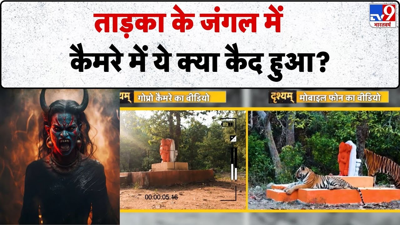 Drishyam: ताड़का के जंगल में कैमरे में ये क्या कैद हुआ?-TV9 | Lord Ram | Dandakaranya | Tadka