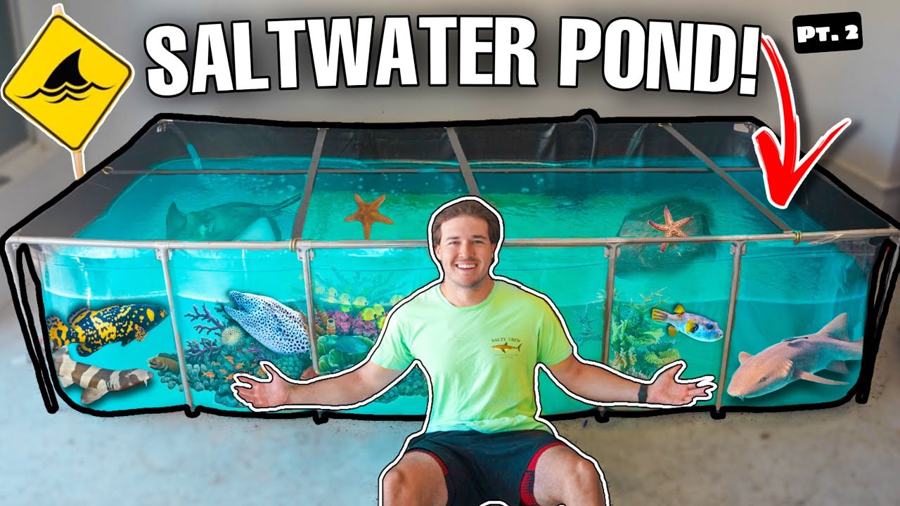 Building DREAM Saltwater FISH Pond! (Pt. 2!)