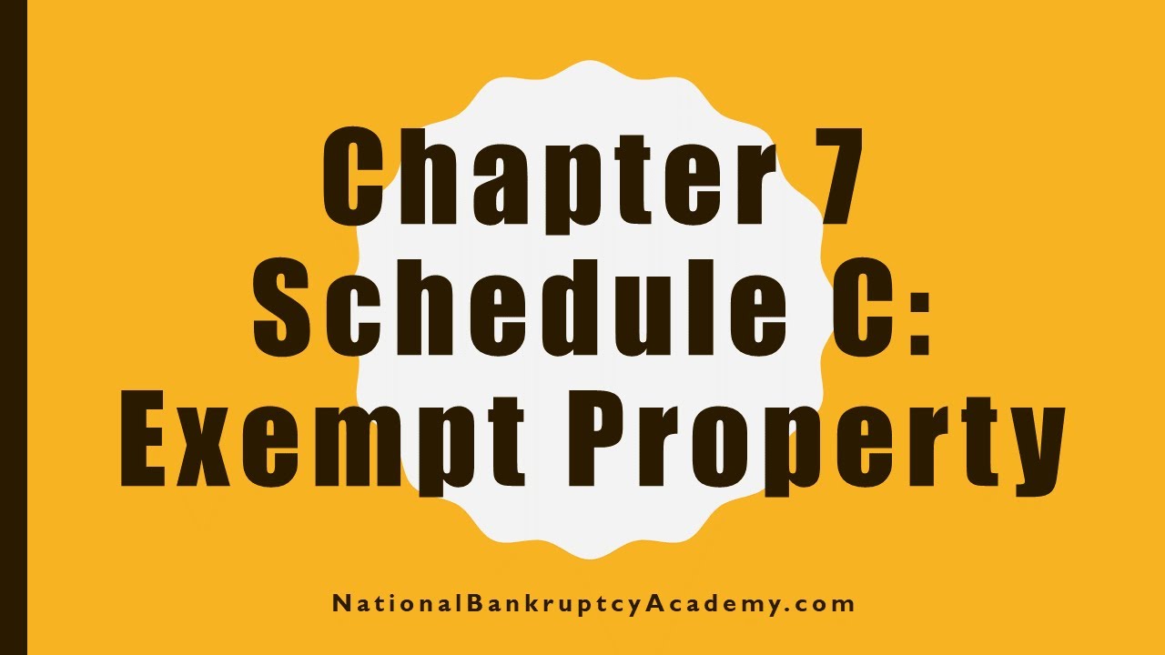 Chapter 7 Schedule C Preview, Official Bankruptcy Form 106C