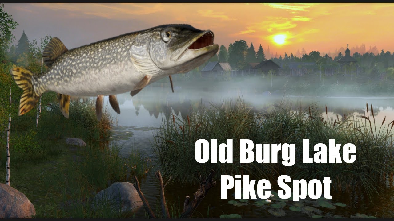 RF4 Spot Old Burg Lake Pike Spot. Szczupak Spot.