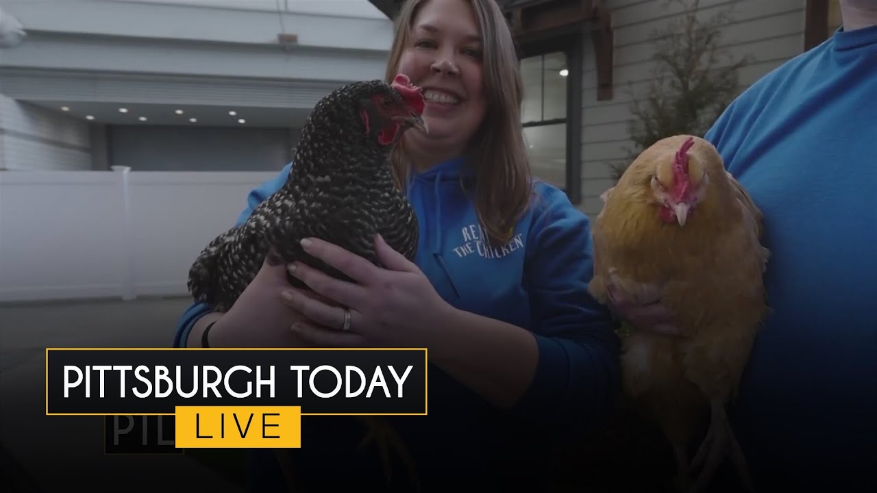 LIVE at the Pittsburgh Home & Garden Show! PTL Chat (3/6)