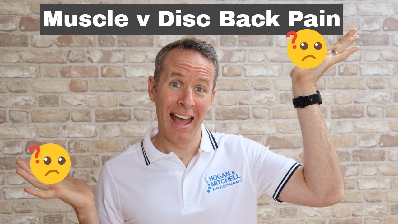 How To Tell If Your Back Pain Is A  Muscle or Disc Problem