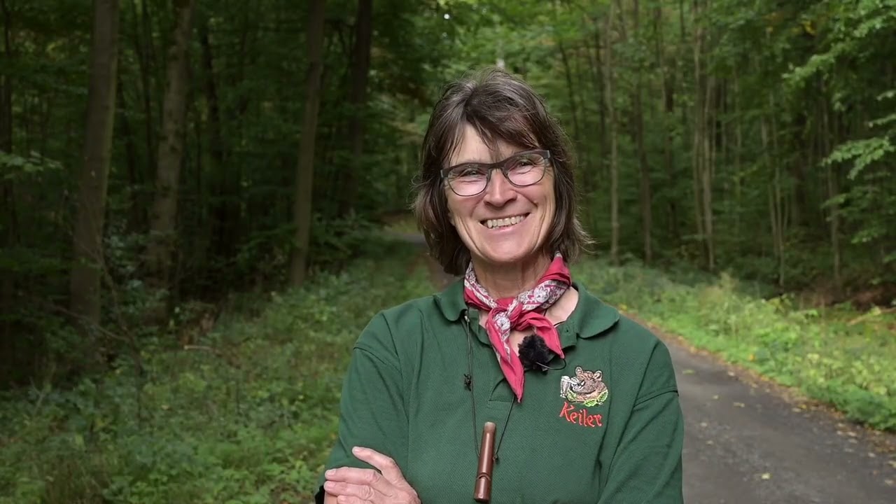 Trotz Rückschlägen geht’s mit Elan weiter | Mein Wald ist für Dich da