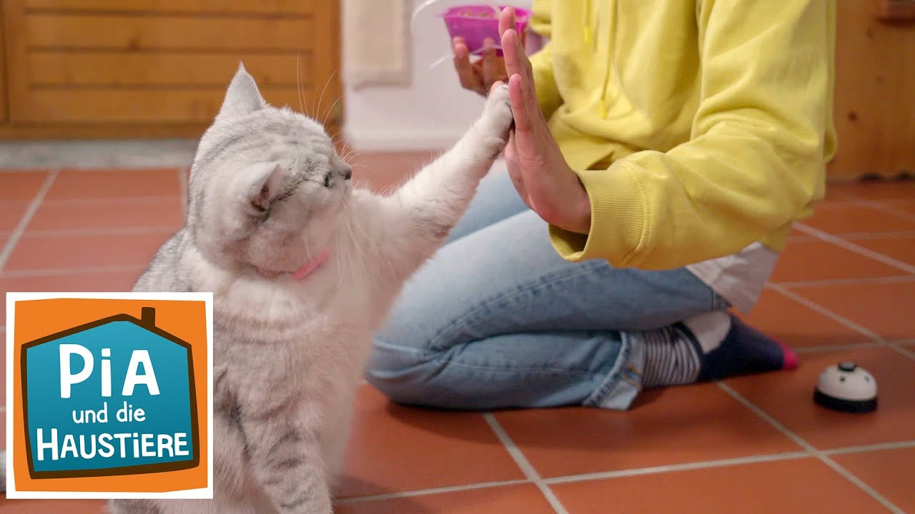 Ein Tag mit der Katzenpsychologin | Information für Kinder | Pia und die Haustiere | Spezial