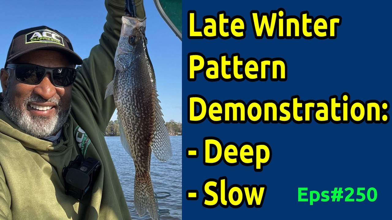 Демонстрация ловли на зимнюю приманку #acccrappiestix #crappiefishing #livescope