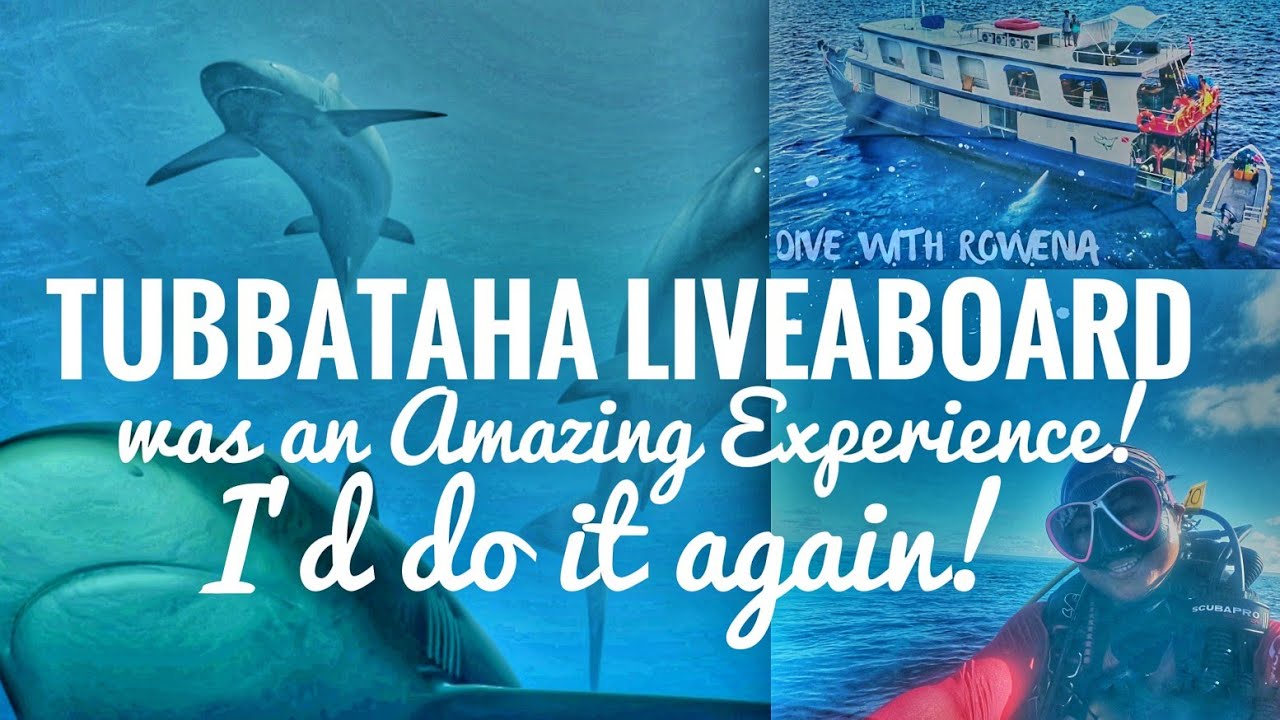 First time on Liveaboard at Tubbataha Reefs Park, Cagayancillo Palawan. I've seen so many sharks! 🦈