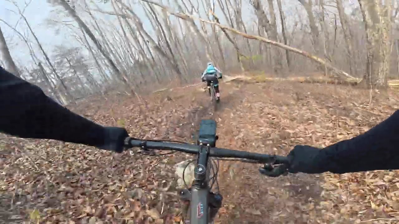 The Snake with Lisa the Legend (updated)