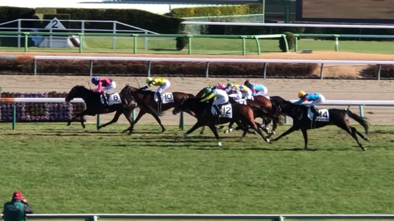 【現地】トップオブザライン 三浦皇成 メイクデビュー中山 3歳新馬戦