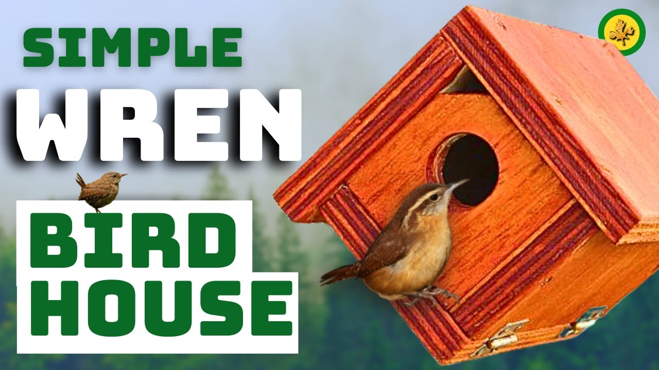Simple Wren House - How To Build Using Basic Tools **UPDATED VIDEO LINK BELOW**