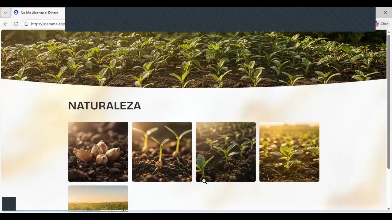 NO ME ALCANZA EL DINERO: LA LEALTAD FAMILIAR QUE NO TE DEJA RECIBIR | Taller.