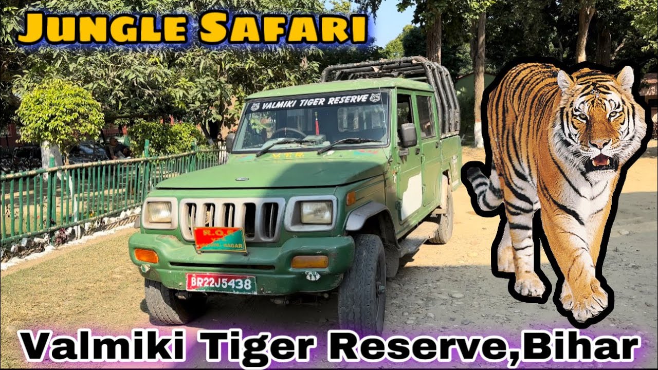 Valmiki Tiger Reserve | Jungle Safari | Tiger Reserve In Bihar | Jungle Safari In Bihar