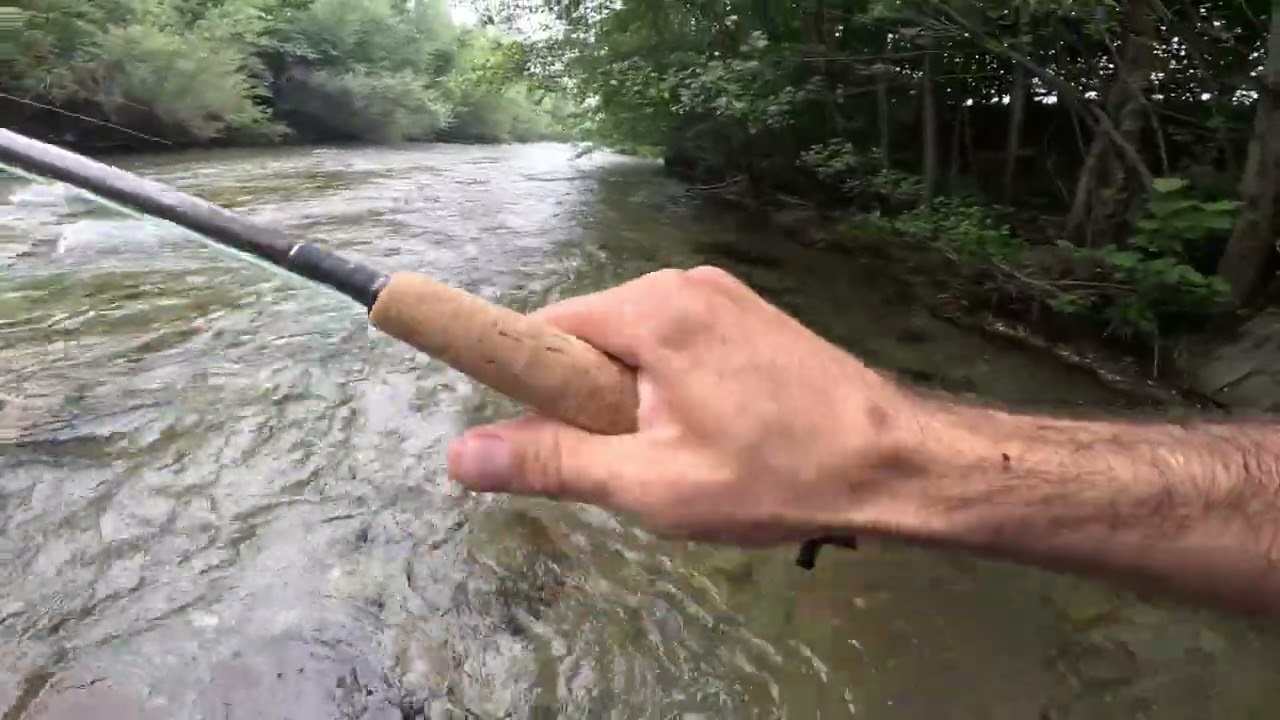 Cavedano a mosca secca in fiume (Dry Fly Chub) - Flyfishing for River Chubs