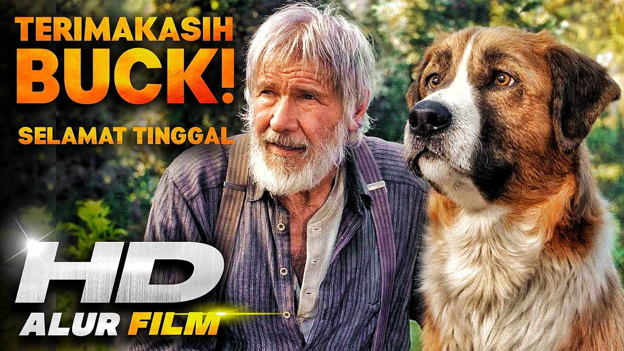 KISAH PETUALANGAN ANJING YANG SAAAANGAT PANJANG :') • Alur Cerita Film The Call of the Wild