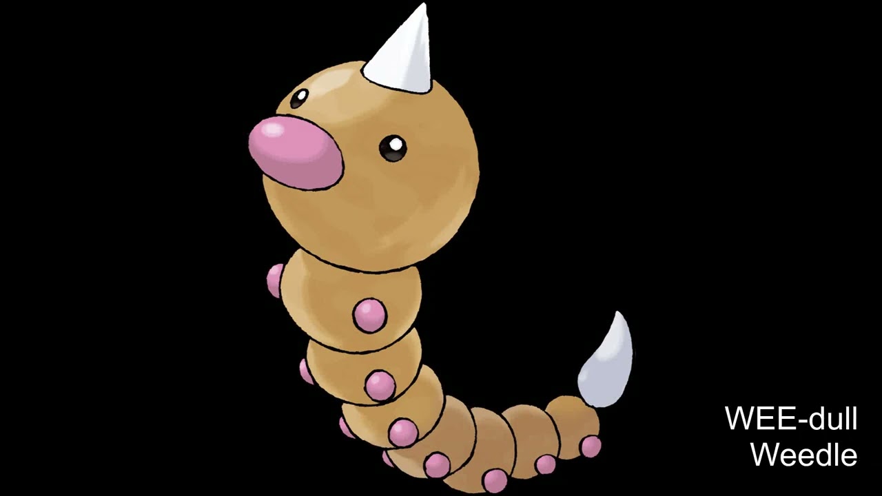 How to Pronounce Weedle (American English) Generation 1