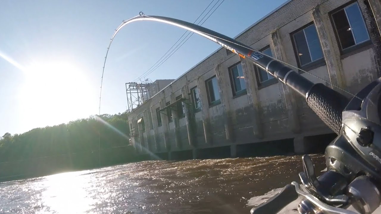 Fishing Mississippi River With Big Baits For Big Fish!