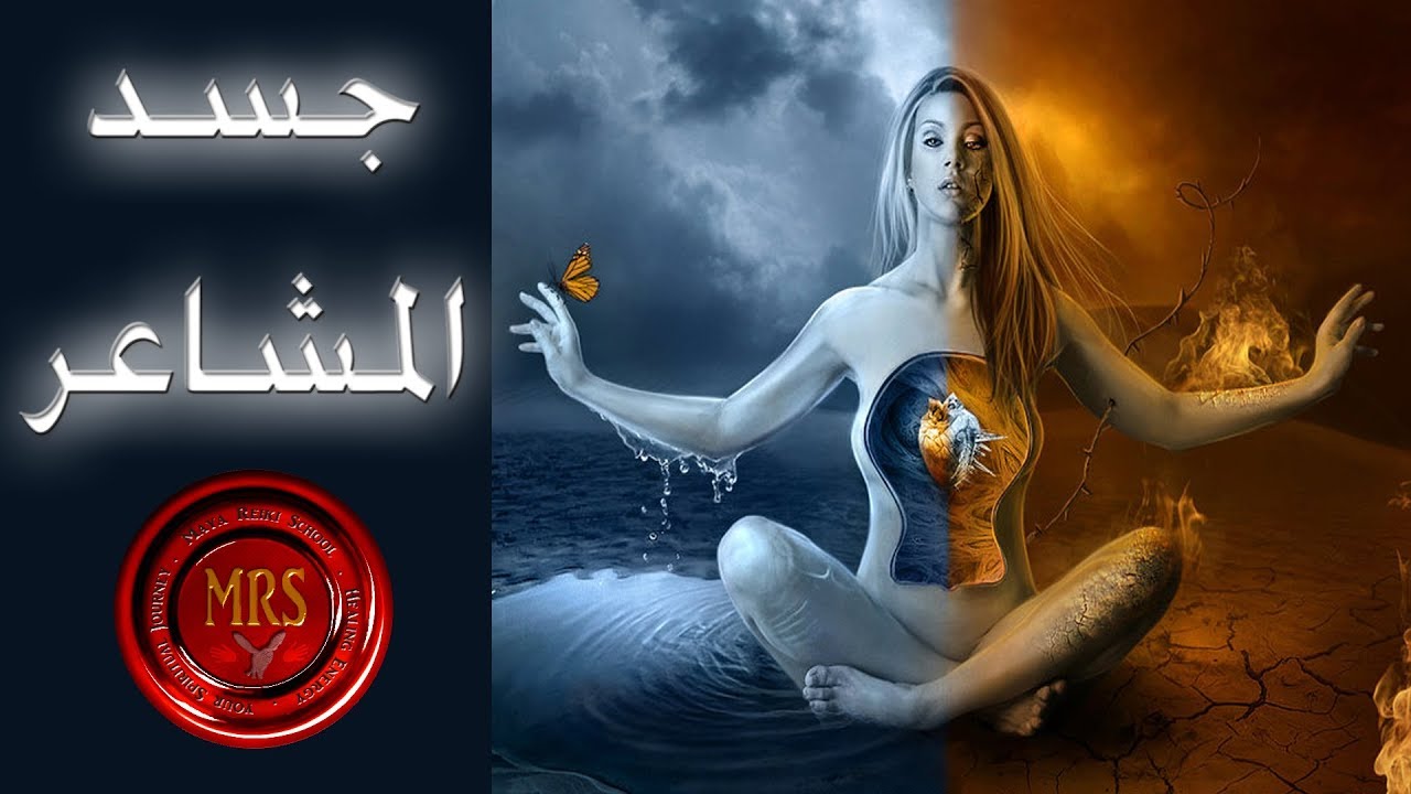 جسد المشاعر | تينا عواد