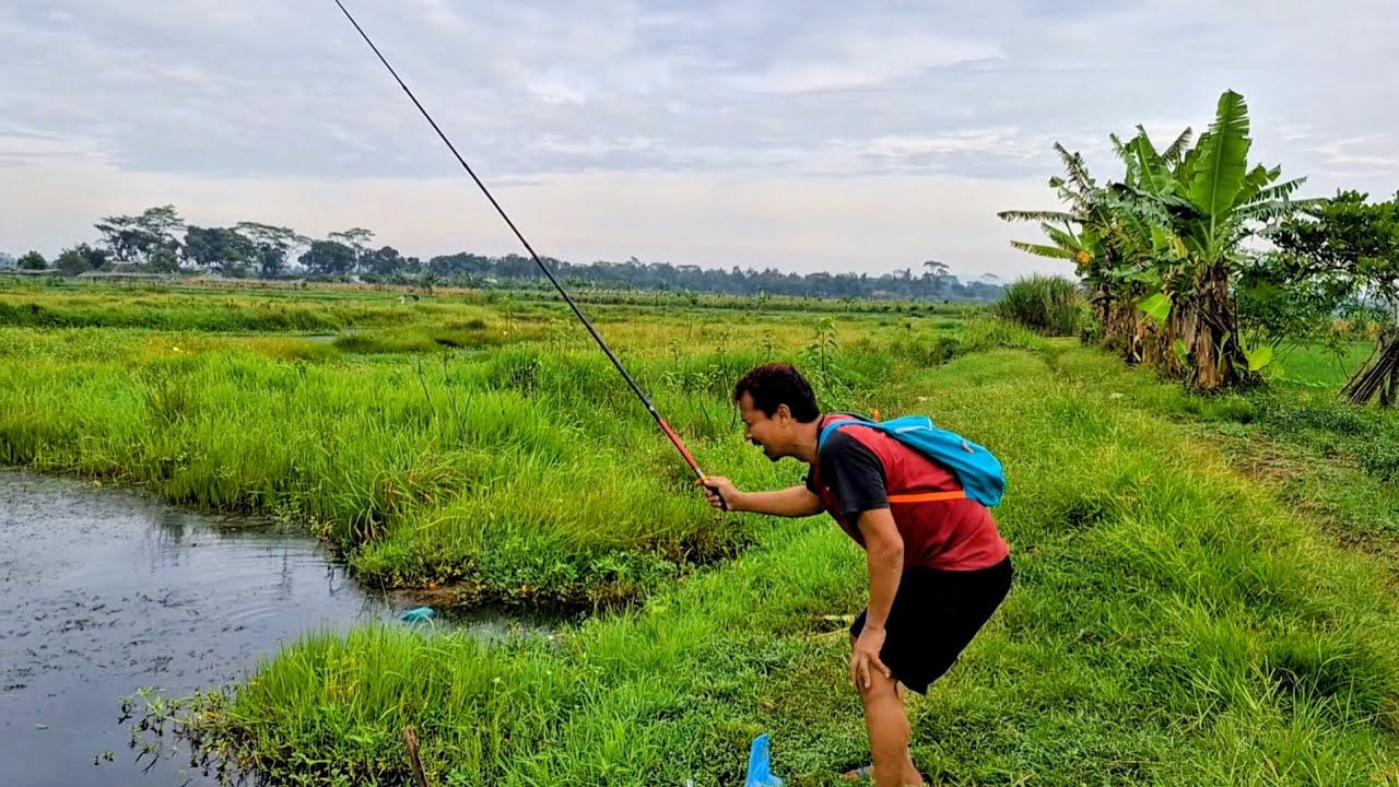 RELA KEPANASAN DEMI MENDAPAT IKAN JAER KUDA