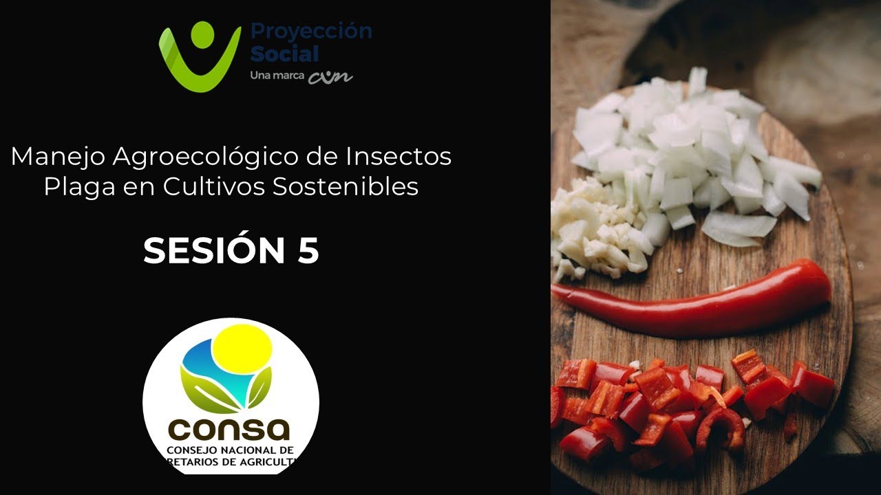 5. Manejo Agroecológico de Insectos Plaga en Cultivos Sostenibles